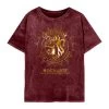 Ladies Harry Potter Acid Wash T-Shirt - Gryffindor -Children Products Shop HAR02036WBC HarryPotter GryffindorConstellation LadiesMaroonAcidWashTee