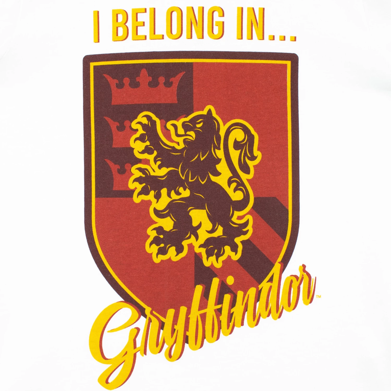 Harry Potter T-Shirt And Headband Set 5 Harry Potter T-Shirt And Headband Set - Image 3