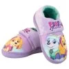 Paw Patrol Slippers - Everest And Skye