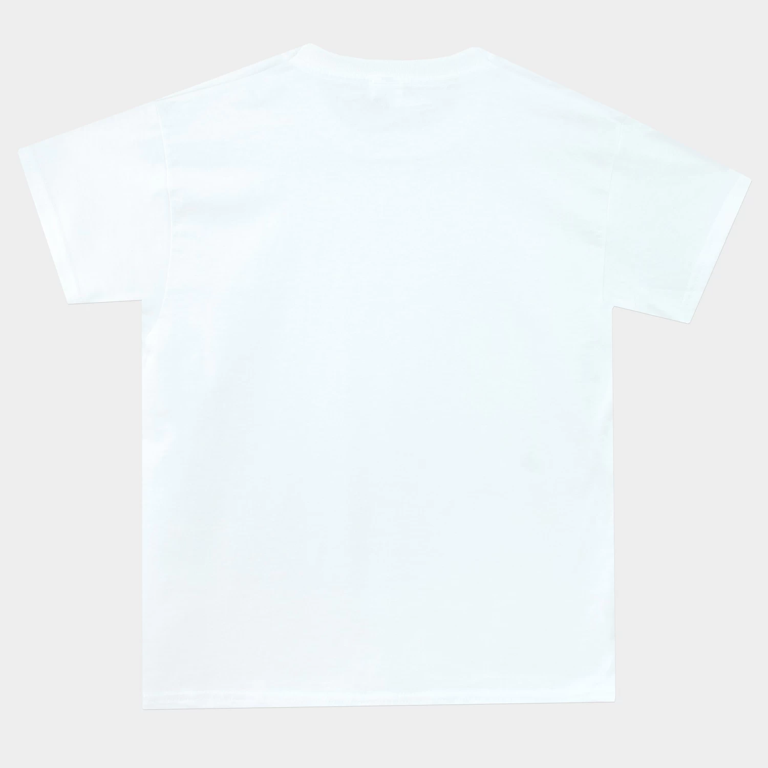 Paw Patrol Skye Halloween T-Shirt 8 Paw Patrol Skye Halloween T-Shirt - Image 6